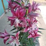 Kết thúc n ở Chiêm Hóa, Tuyên Quang - Vui vẻ hòa đồng