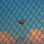 Hào ở Bình Thạnh, TP Hồ Chí Minh - Vui vẻ, hoà đồng