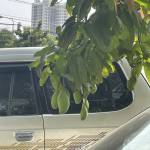 Tran V Duc ở Thủ Đức, TP Hồ Chí Minh - vui ve nhiet tinh