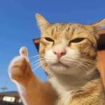 Tuấn ở Long Thành, Đồng Nai - Muốn được tìm bạn gái ở Long T