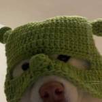 Chiến ở Hải Châu, Đà Nẵng - Hh