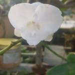 Kiên Ngô ở Cam Ranh, Khánh Hòa - Vui vẻ, hòa đồng