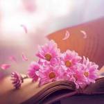 Như Mây ở Hóc Môn, TP Hồ Chí Minh - Thân thiện, hoà đồng, nghiêm t