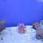 Moonsun ở Quận 12, TP Hồ Chí Minh - Trầm tính, hướng nội