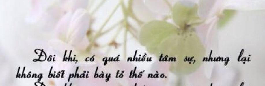 Mr.Nguyễn Cover Image