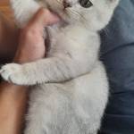 Bảo ở Long Xuyên, An Giang - Mún tìm người ons tuổi tác k q