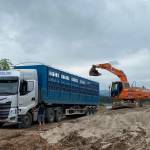 Quang việt đang tìm bạn hẹn hò qua mạng