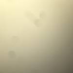 Vu ở Tây Sơn, Bình Định - Dễ chịu