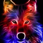 son ở Long Biên, Hà Nội - xin chao