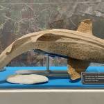 Sơn - tim ban trai da ly hon qua so dien thoai