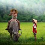 thanh ở Hải Châu, Đà Nẵng - vui vẻ, hòa đồng