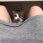 Tus ở Ba Vì, Hà Nội - Tìm FwB onl, lâu dài, kín