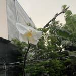 hiếu ở Bà Rịa, Bà Rịa - Vũng Tàu - muốn tìm các mối quan hệ kín đ