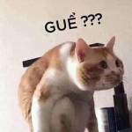 Cupin ở Tân Phú, TP Hồ Chí Minh - Mình nam cao 1m7 tìm fwb, ons