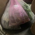 Chung ở Phan Rang-Tháp Chàm, Ninh Thuận - Lùn