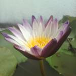 Lê Hưng ở Nhơn Trạch, Đồng Nai - Vui vẻ hòa đồng, chân thành , 