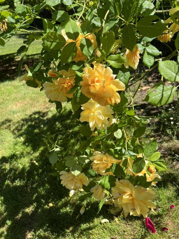 photos | Lê Văn (Nam) Độc thân - Tìm bạn đời nghiêm túc tại Hải Châu Đà Nẵng