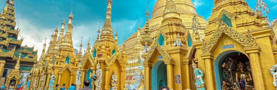 trần hương giang Cover Image