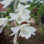 Ti ở Biên Hoà, Đồng Nai - hahyhya