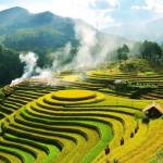 quang anh ở Thanh Hóa, Thanh Hóa - tim bạn qh kin dao