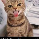 Hai ở Ninh Kiều, Cần Thơ - Tìm ONS kín đáo, mình đảm bảo 