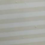 phuc ở Càng Long, Trà Vinh - vui vẻ