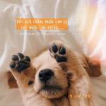 Thiên ở Ninh Kiều, Cần Thơ - Thích bú cu or bị chơi