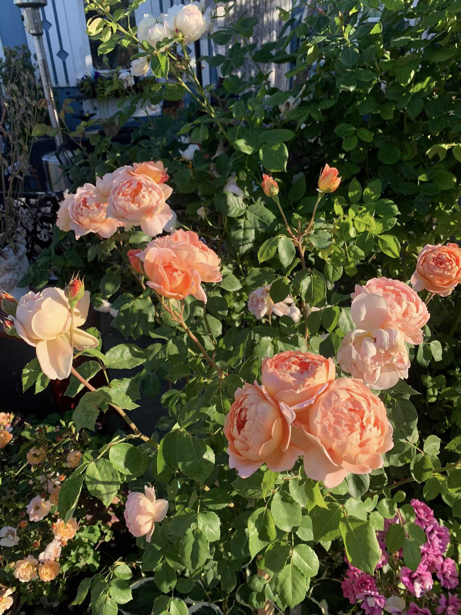 photos | Lê Văn (Nam) Độc thân - Tìm bạn đời nghiêm túc tại Hải Châu Đà Nẵng