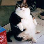 Nam ở Ninh Kiều, Cần Thơ - Tìm bạn.