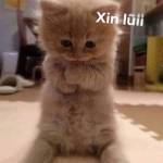 đoàn tiến  ở Duy Tiên, Hà Nam - anh dzai nhiều tiền