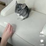 Thanh Sơn ở Quận 7, TP Hồ Chí Minh - Hòa đồng vui vẻ