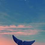 Đạt - tim ban trai da ly hon qua so dien thoai