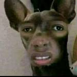 Đức ở Hạ Long, Quảng Ninh - Top 2k6 tìm bn bot ở quảng nin