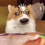 Hoàng ở Quận 5, TP Hồ Chí Minh - Hi chào mng