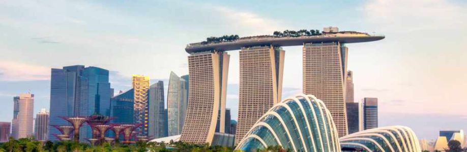 Toi tim Toi Cover Image