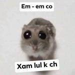 Nô ở Quận 3, TP Hồ Chí Minh - Mún chịch