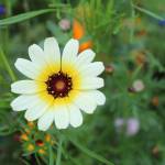 jiang ở Hàm Tân, Bình Thuận - tim may' bay tinh 1 dem