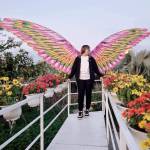 QUIS ở Vĩnh Long, Vĩnh Long - Hướng nội