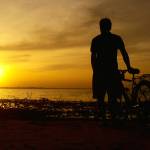 Tùng ở Gò Vấp, TP Hồ Chí Minh - .