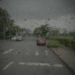 Gia Bảo ở Hóc Môn, TP Hồ Chí Minh - Vui vẻ hòa đồng