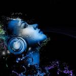 Nguyễn Kha ở Tân Phú, TP Hồ Chí Minh - Sử dụng tất cả nhưng không bao