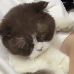 Nguyen qua ở Cầu Giấy, Hà Nội - tìm ons