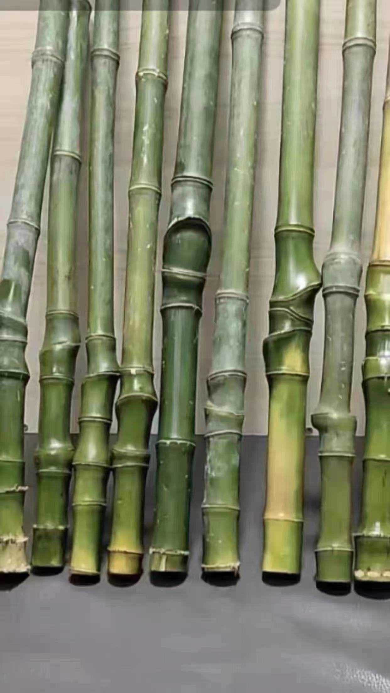 Long (Nam) Độc thân - Kết bạn hẹn hò tại Hà Giang Hà Giang