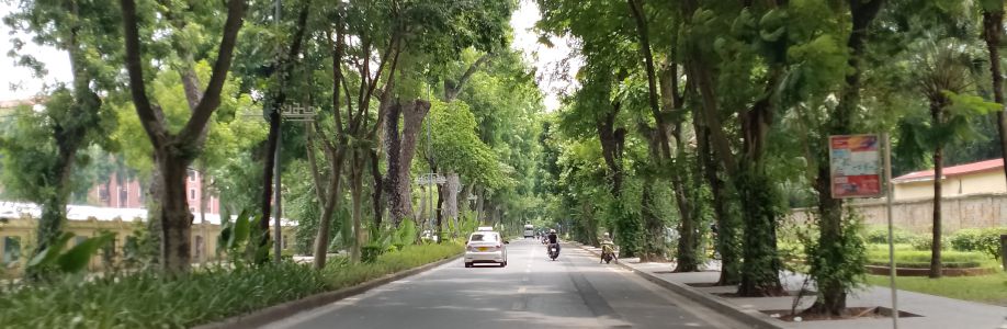 Lĩnh Nam Cover Image