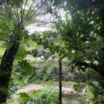 Thanh Tung ở Đức Trọng, Lâm Đồng - Tiếp xúc sẽ rõ