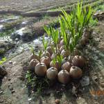 Võ Tuấn Profile Picture