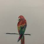 Trí Cường ở Cao Lãnh, Đồng Tháp - Hơi ít nói