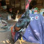 Anh ở Quận 12, TP Hồ Chí Minh - Vui vẻ hòa đồng. Khá hài hước