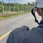 nguyen the toan - tim ban trai da ly hon qua so dien thoai