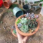 Trung ở Ea Kar, Đắk Lắk - Độc thân